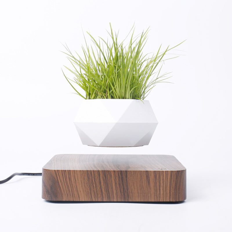 Levitating flowerpot
Magnetic planter
Rotating flowerpot
Modern home decor
Futuristic plant holder
360° spinning planter
Unique home accessories
Novelty gifts for plant lovers
Minimalist flowerpot
Floating planter